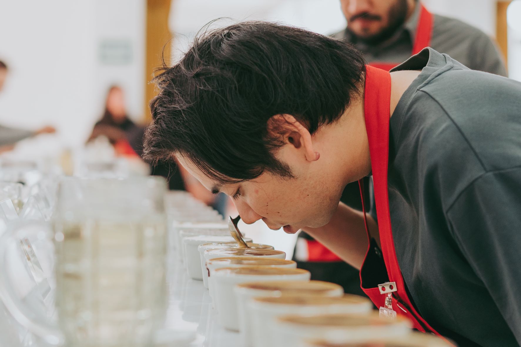 Taza de Excelencia Perú 2022: El mejor café del Perú es de la provincia de San Ignacio, región Cajamarca