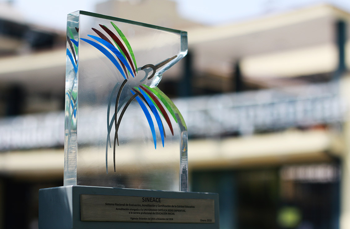 Más de 160 programas de pregrado y posgrado fueron acreditados por el Sineace en el 2020