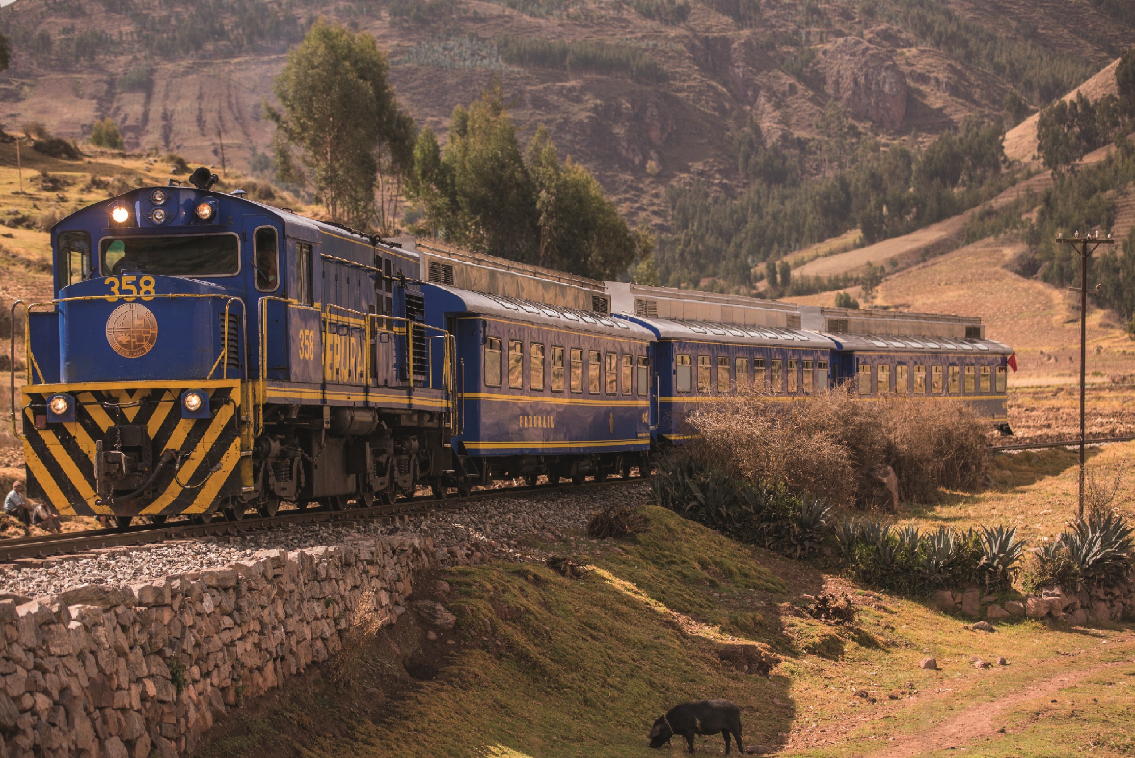 Viaja a Machu Picchu con tarifas desde S/ 15 en trenes turísticos