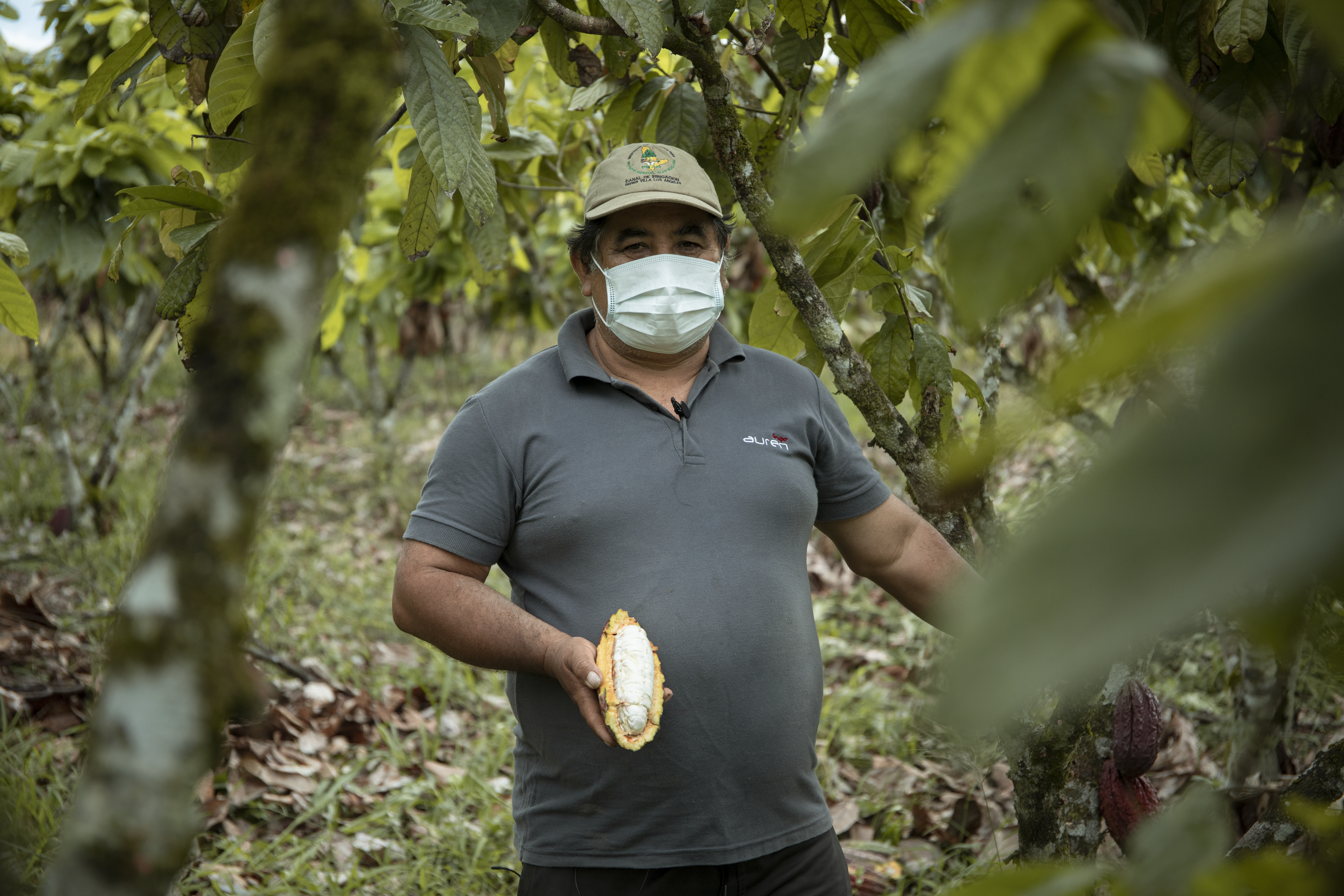 MIDAGRI: Plan de Negocio de agricultores de Huánuco potenciará producción de cacao