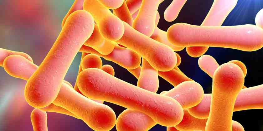 Difteria: América Latina en alerta por muerte de ocho niños