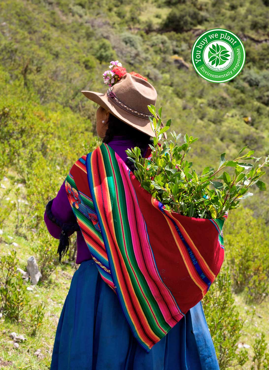 Campaña de Herbal Essences y Tottus sembrará más de 10,000 árboles a través de ONG Pachamama Raymi