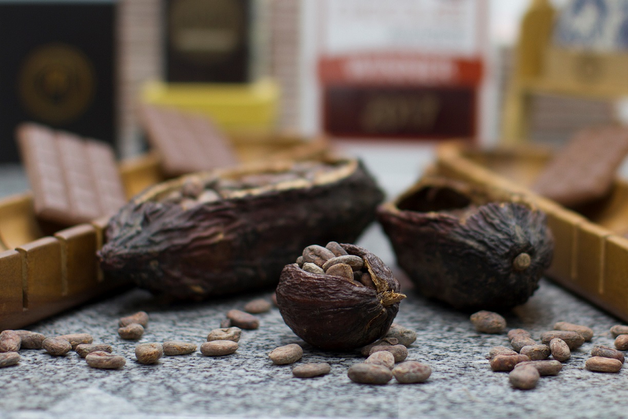 Chocolate artesanal de Perú logra medallas y reconocimiento internacional en París