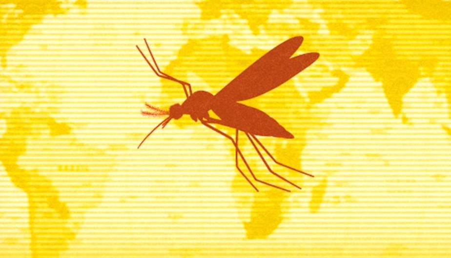 Más del 50% de niños peruanos no se ha vacunado contra la fiebre amarilla durante la pandemia