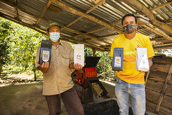 MIDAGRI: Productores de Jaén exportaron 71 mil quintales de café verde a Europa y Norteamérica