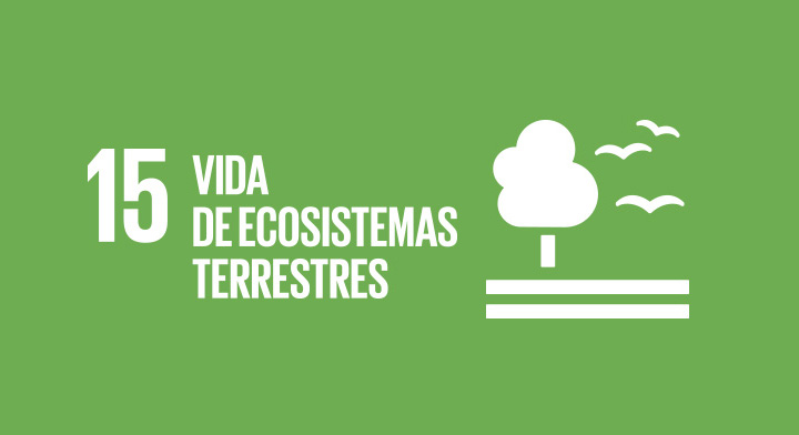 Perú 2021 presenta 3 Rutas de Acción para luchar contra amenazas a los ecosistemas terrestres (ODS#15)