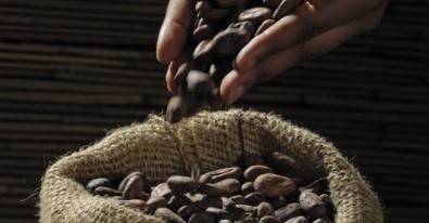 La importancia de promover el consumo interno de café
