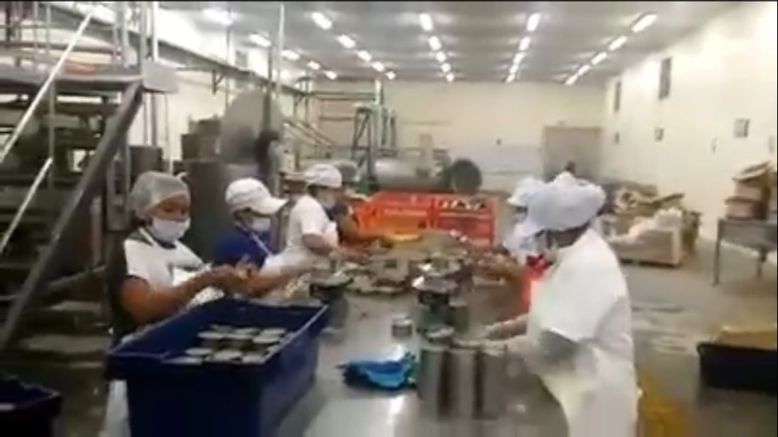 Sector conservero nacional se reactivaría si Qaliwarma adquiere directamente conservas de pescado fabricadas en el Perú