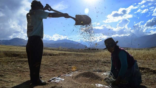 CONVEAGRO: “650 mil mujeres líderes de la agricultura familiar esperan que el Presidente Castillo cumpla con la II Reforma Agraria que las reconocería finalmente”
