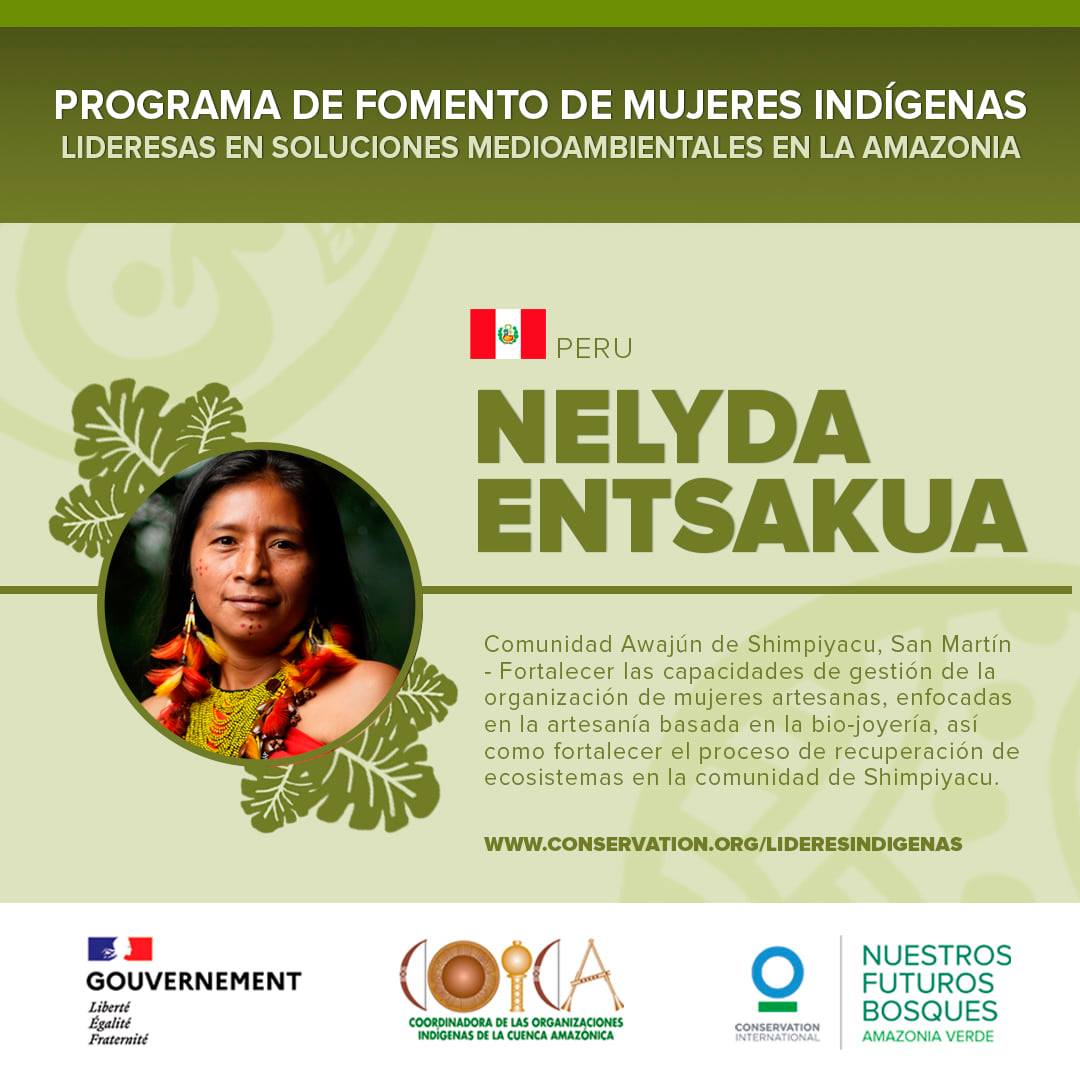 Nuevo programa de fomento de lideresas indígenas en la Amazonía 2021-2022