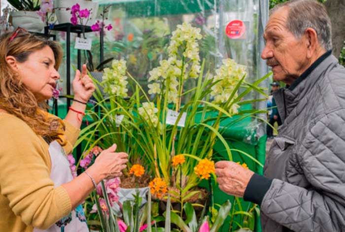 perúflora 2021 apoyará a la reactivación de la floricultura peruana en plena pandemia