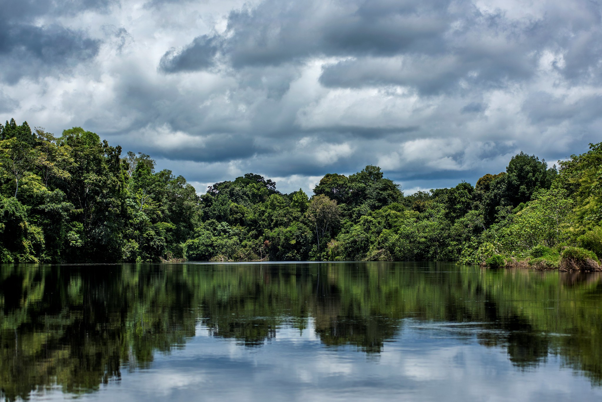 Transformando el panorama de inversiones en la Amazonia Peruana