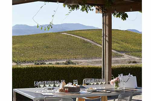 Destilería 16 apuesta por los vinos californianos para reforzar su portafolio de productos en el sector horeca