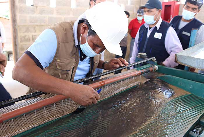 Oportunidades y desafíos: Dos décadas del proceso de formalización de la minería artesanal y de pequeña escala en la Amazonía peruana