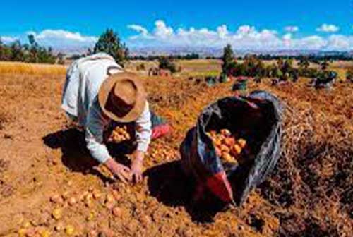 Segunda Reforma Agraria: Medidas proteccionistas encarecerán los productos y no solucionarán los problemas estructurales del agro