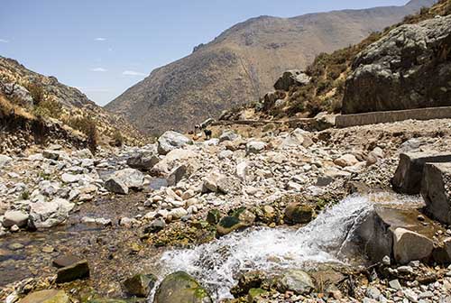 Proyecto Amunas gana reconocimiento internacional por la restauración del sistema hídrico en el altiplano de Lima
