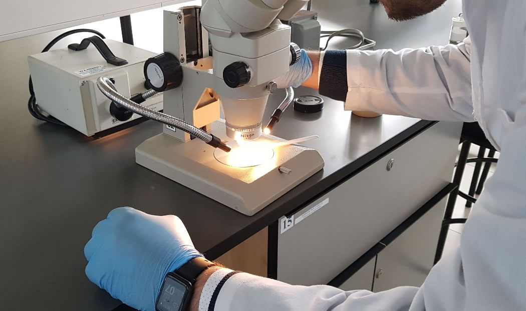 Perumin Hub: Innovadores diseñan tecnología para extraer minerales de relaves mediante espuma y burbujas de aire