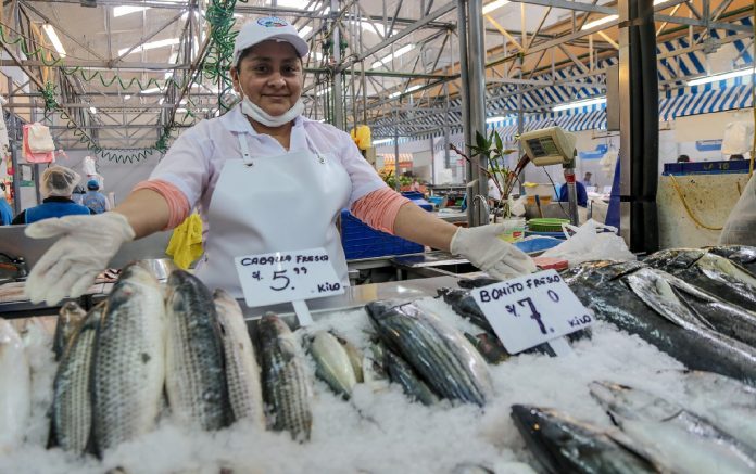 Recomiendan consumir pescado sin temor a contaminación