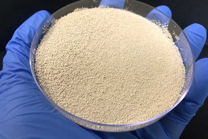 DSM lanza nueva generación de fitasa para aves y cerdos