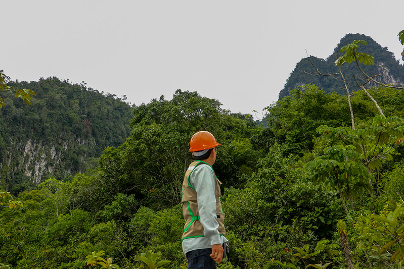 OSINFOR inicia mejoras en su módulo de información para reforzar las supervisiones e inspecciones forestales