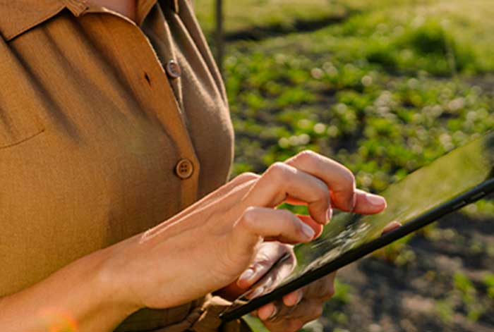 minsait se une a wow para revolucionar el mundo del retail con una innovadora propuesta phygital