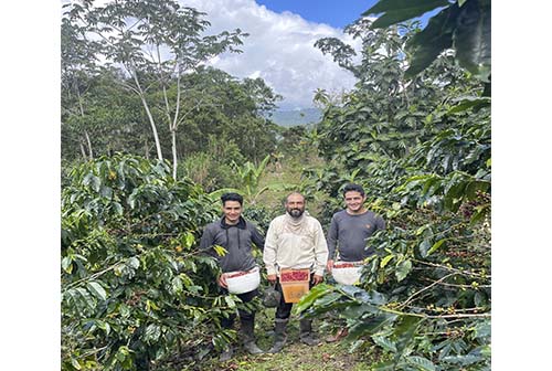 Caficultores del Bosque de Protección Alto Mayo buscan promover a nivel internacional café sostenible