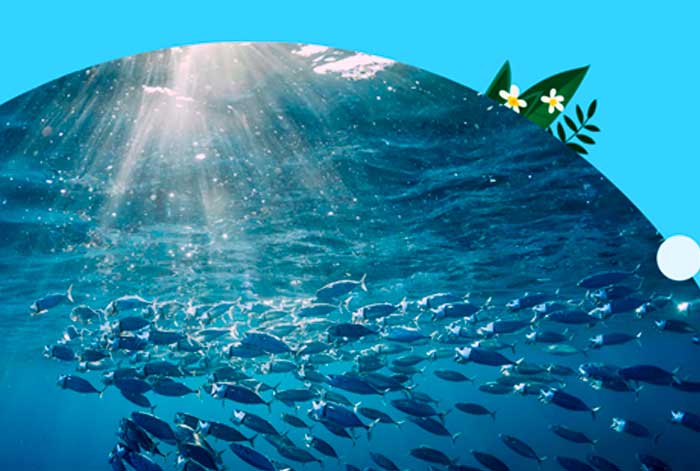 Salesforce lanza nuevas iniciativas para hacer crecer los mercados de carbono sostenibles basados en el océano