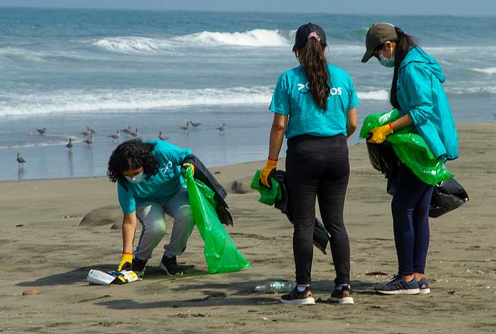 Voluntarios recolectan más de 200 kilos de basura durante jornada de limpieza en playa San Pedro de Lurín