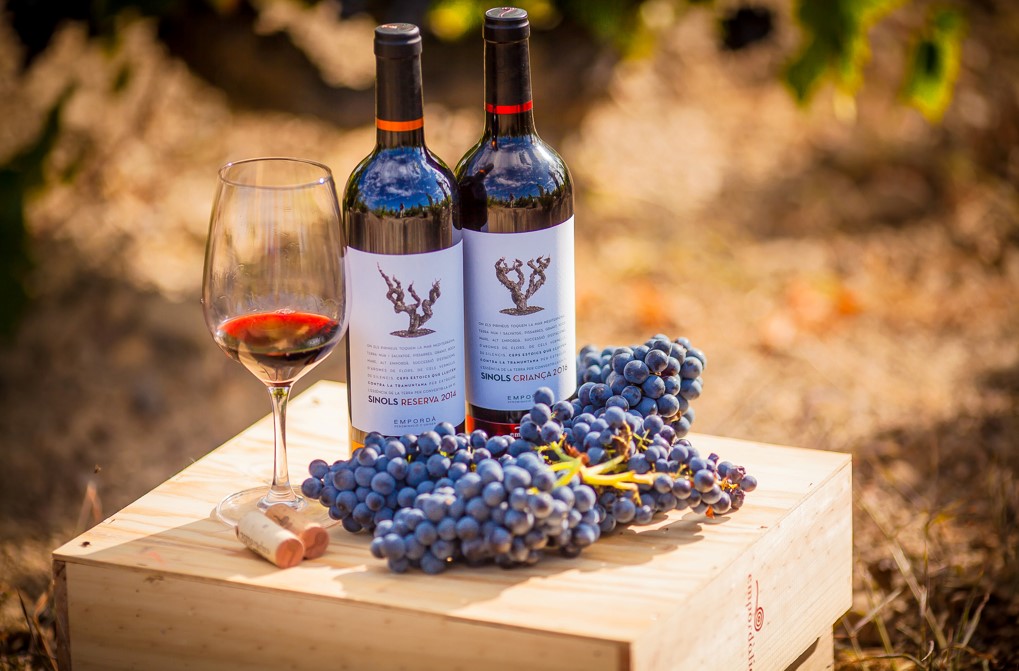 Día del Padre: Cuatro opciones de vinos para regalarle por su día