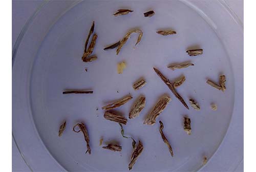 ¿Qué contiene un cigarrillo proveniente del contrabando?