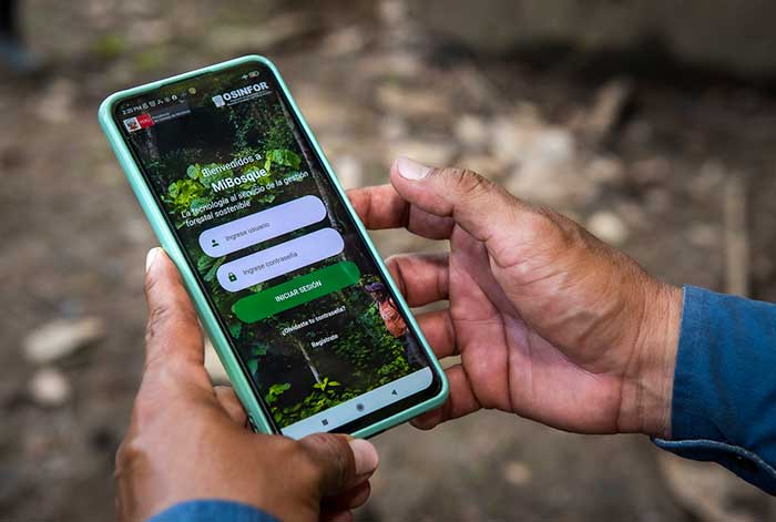 App MiBosque contribuirá a garantizar la legalidad en la cadena productiva de la madera y castaña