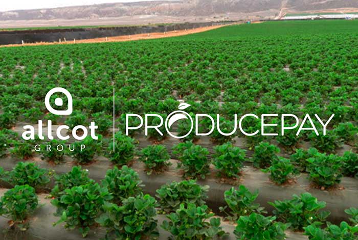 La startup ProducePay y ALLCOT preparan el primer Programa de Compensación de Carbono de la industria agrícola de Latam