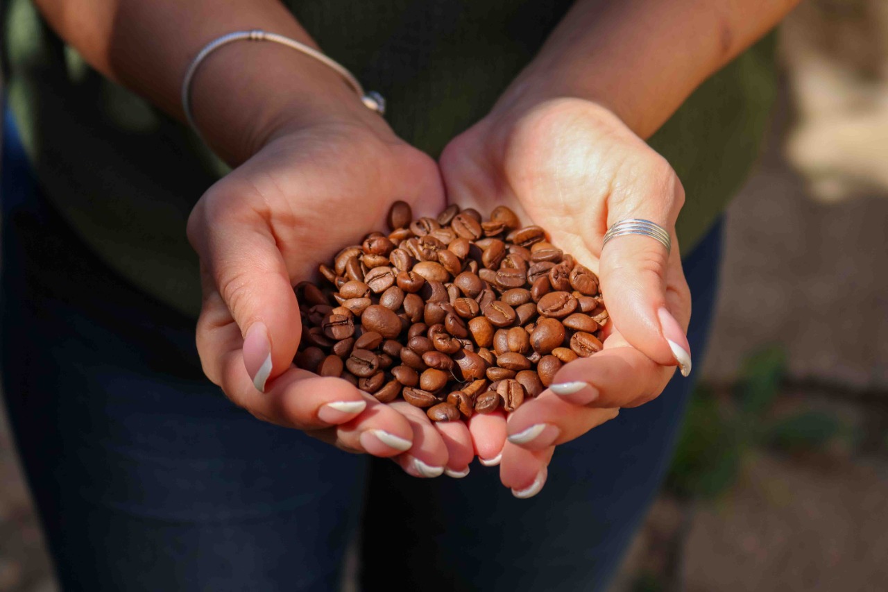 INACAL aprueba norma técnica del café tostado en grano o molido para promover su comercialización