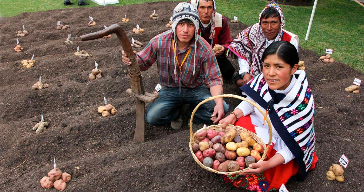 Conoce a los diez proyectos de emprendimiento social que llegan a la final de Perumin Inspira