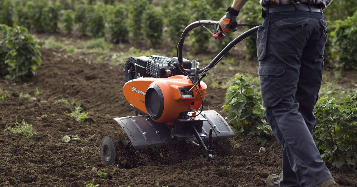 Día Mundial de la agricultura: ¿Qué se espera para este sector hacia finales de año?