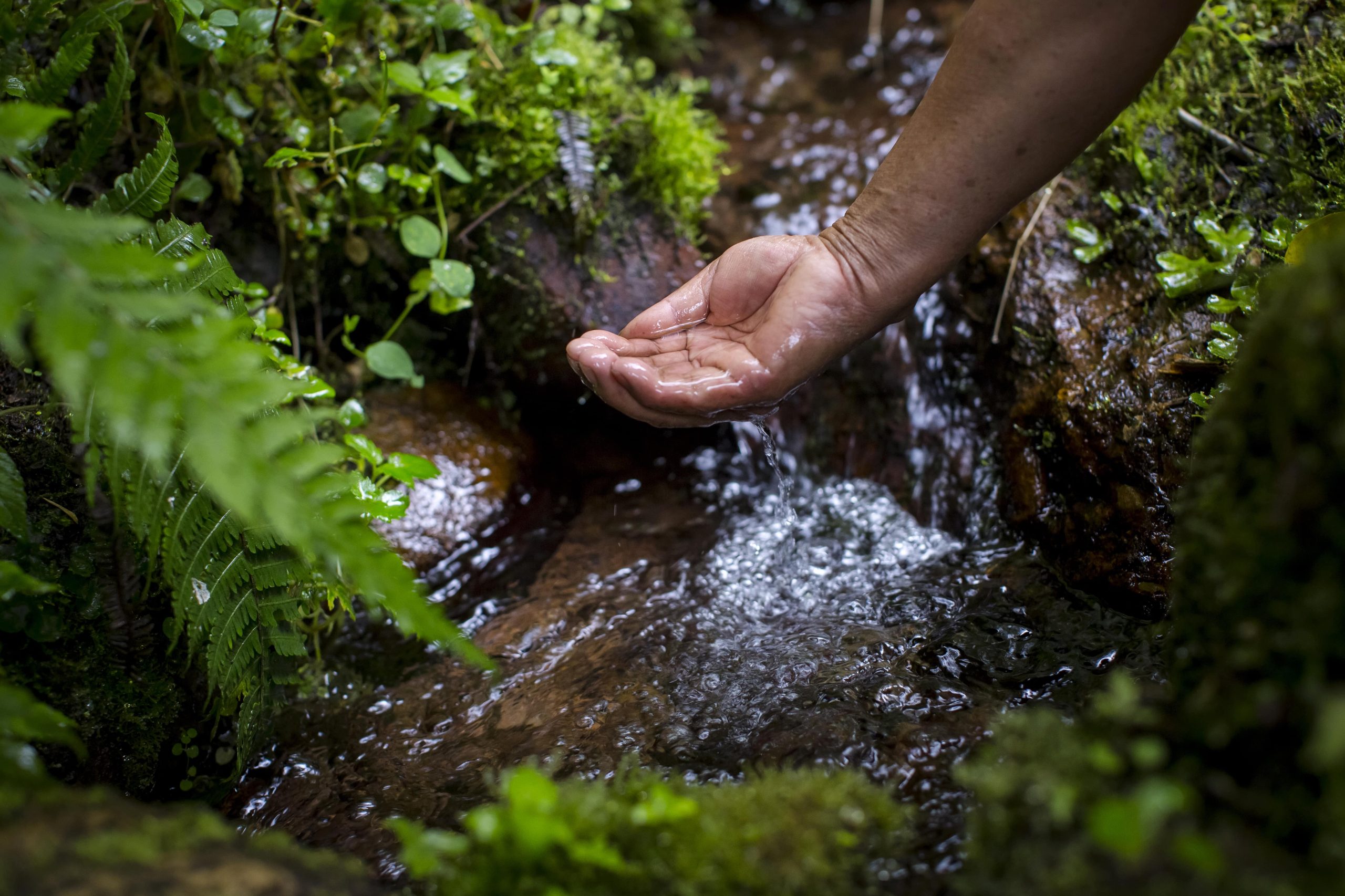 Coca-Cola destaca el progreso en la mejora del acceso a agua limpia en América Latina durante la Semana Mundial del Agua