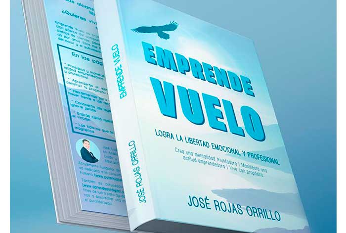 Los cuatro pilares para alcanzar la libertad emocional y profesional