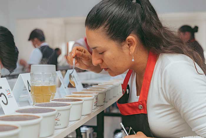 taza de excelencia perú 2022: 105 cafés compiten por ser el mejor del país
