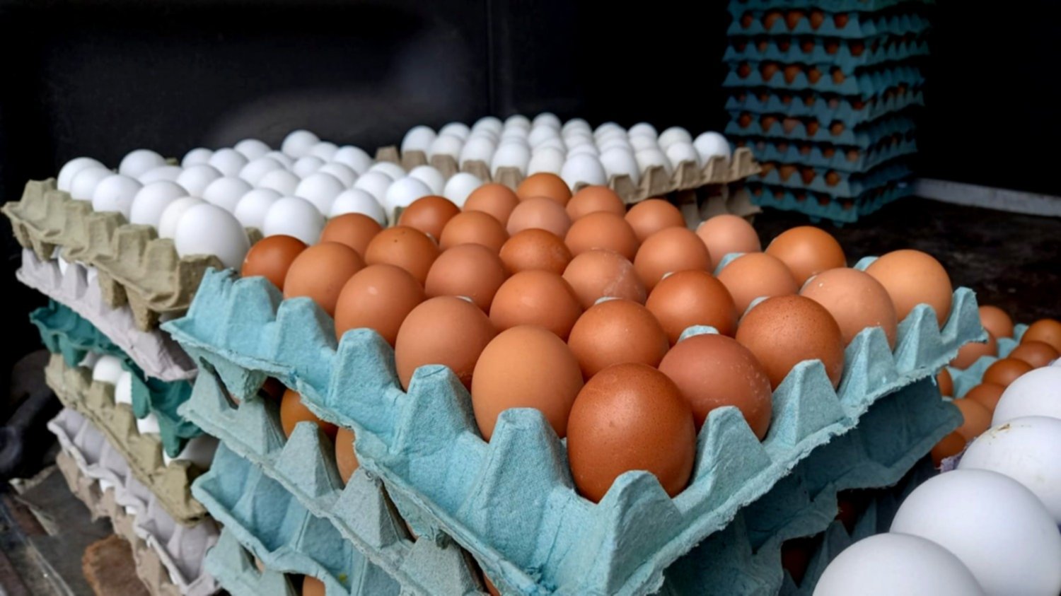 Asociación de Avicultores del sur denuncia masivo ingreso al Perú de 3.8 millones de huevos semanales por contrabando