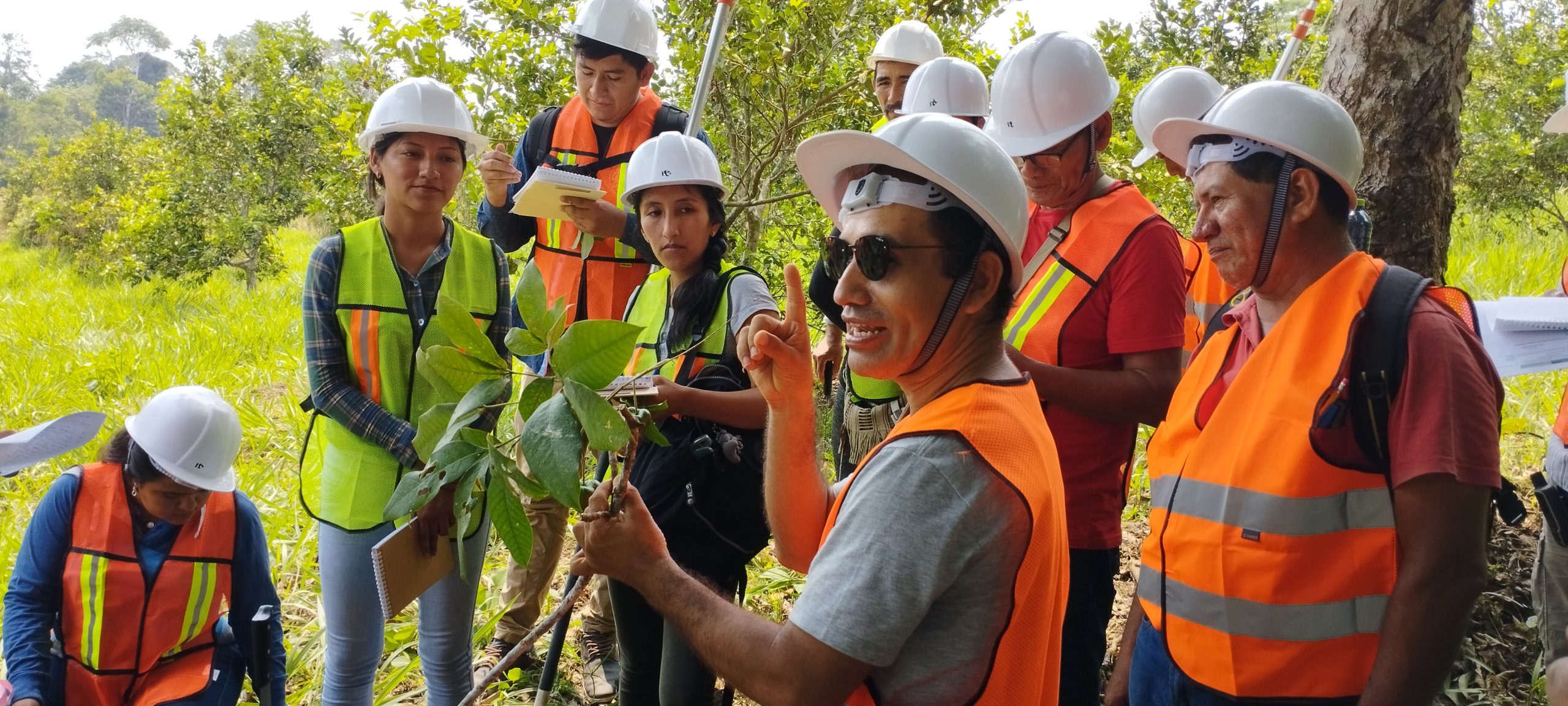 Autoridades forestales se capacitan para un adecuado reconocimiento de especies forestales maderables en Ucayali y Junín