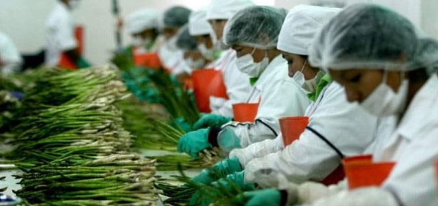 Producción nacional se incrementó 1,68% en agosto de este año