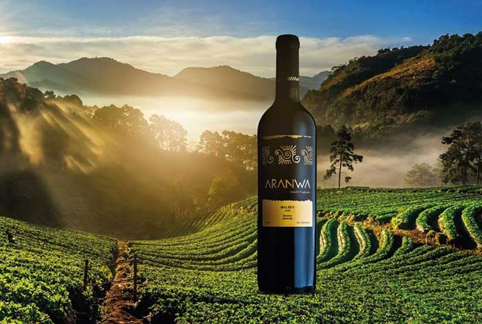 Aranwa y Altamira de los Andes: Dos reconocidas marcas de vinos boutique de Argentina llegan a Lima