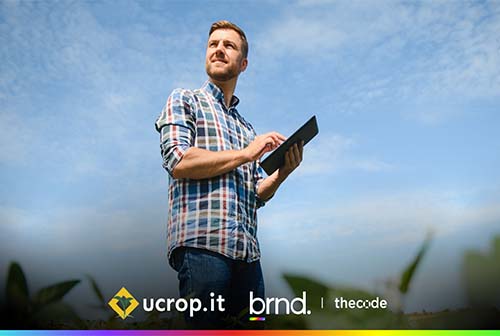 ucrop.it elige a Brandformance