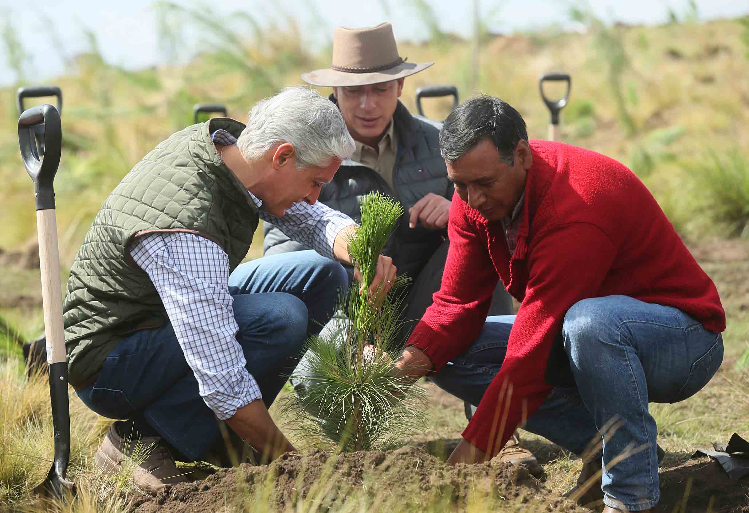 Medio ambiente: la actuación de profesionales especialistas que contribuyan en el desarrollo de peritajes ambientales