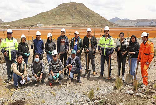 Pasco: AMSAC y Universidad Daniel Alcides Carrión realizan forestación de más de 100 quinuales