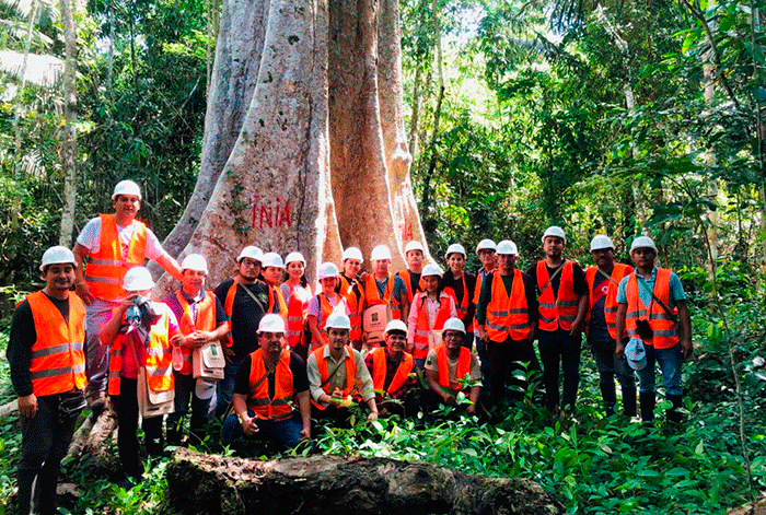 Comunidades de la Cuenca del Nanay se capacitan en manejo forestal comunitario con la Mochila Forestal