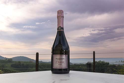 Riccadonna: ¿Cuál es el origen del espumante que acompaña nuestras celebraciones?