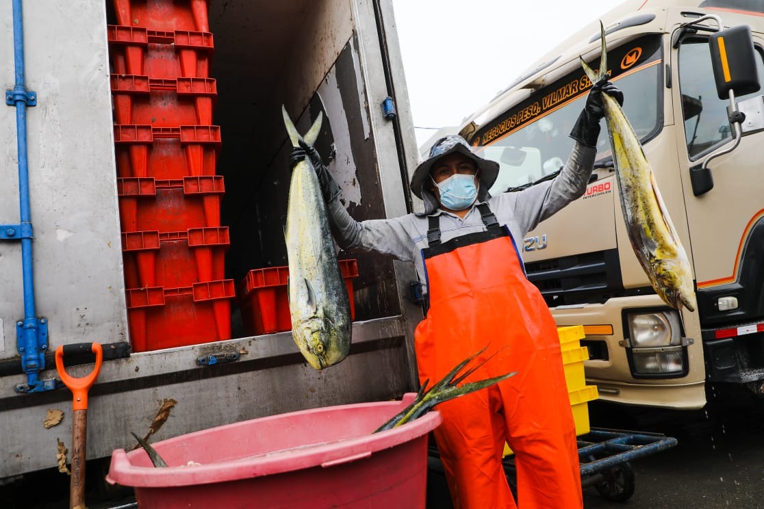 Produce: Desembarque pesquero crece más de 16% en setiembre de 2022