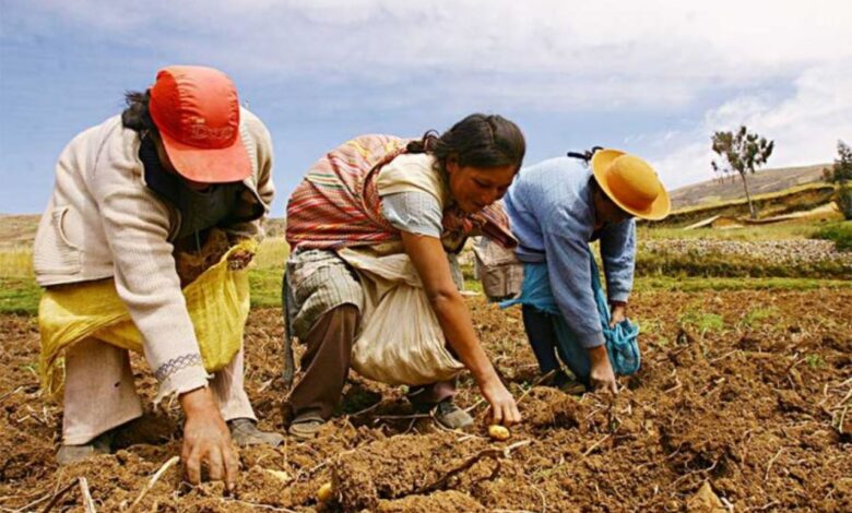 CONVEAGRO: “Cerca de 17 millones de peruanos no tendría alimentos durante el 2023 y no hay un plan para evitarlo”