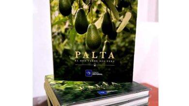 Presentan libro “Palta. El oro verde del Perú”
